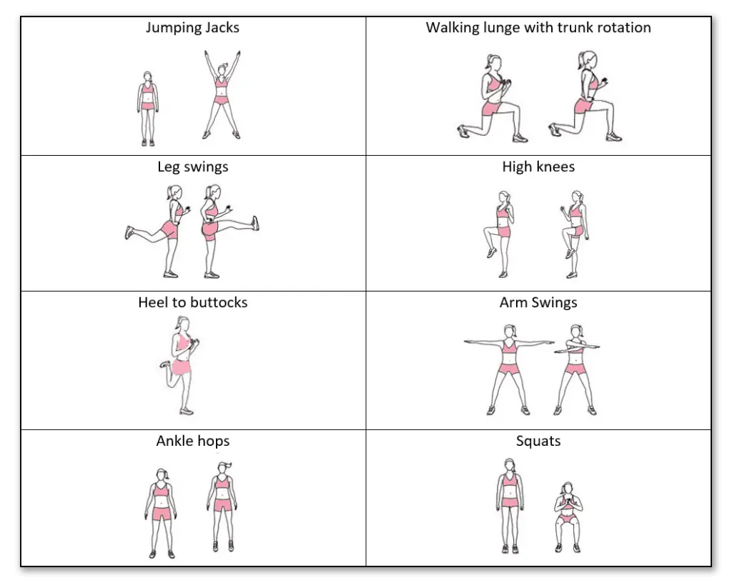 Illustrated list of stretches